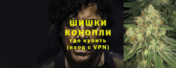 соль ск Волосово