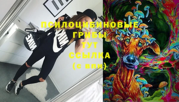 соль ск Волосово