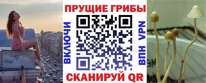 Купить  Кинешма  Псилоцибиновые грибы ЛСД 