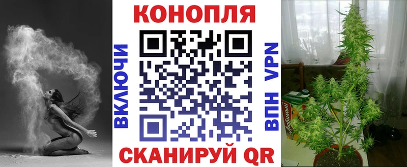 Бошки марихуана планчик  Купить где  Кинешма 